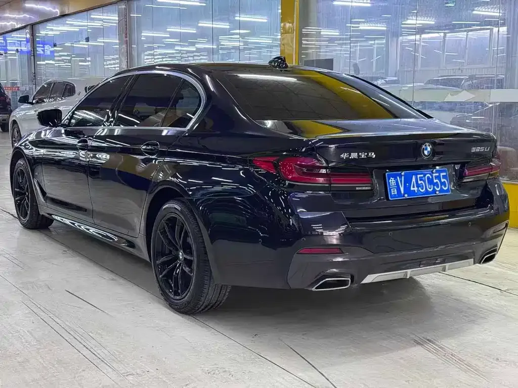BMW 5 Series 2023 из CN, фото 5
