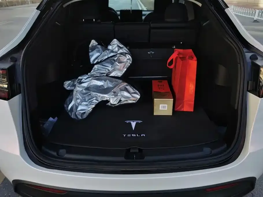 Tesla Model Y 2022 из CN, фото 4