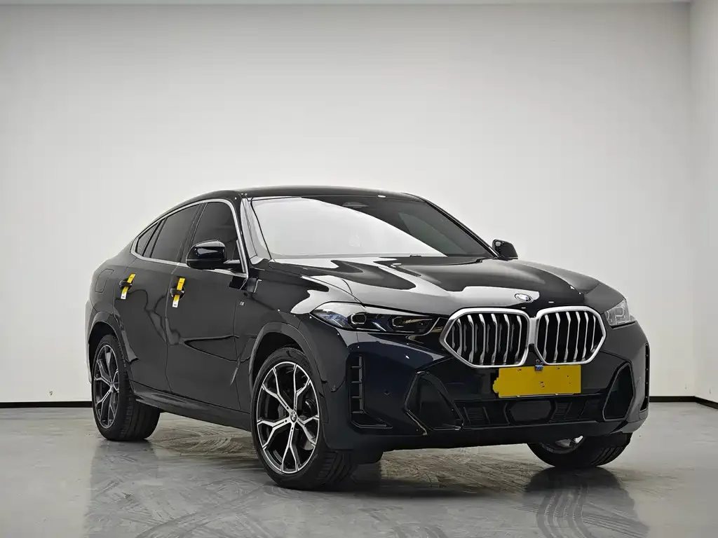 BMW X6 2025 из CN, фото 6