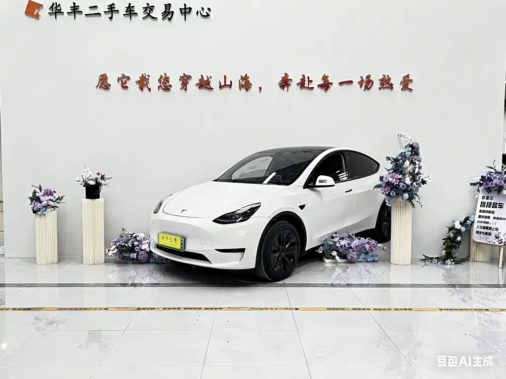Tesla Model Y 2021 из CN, фото 1