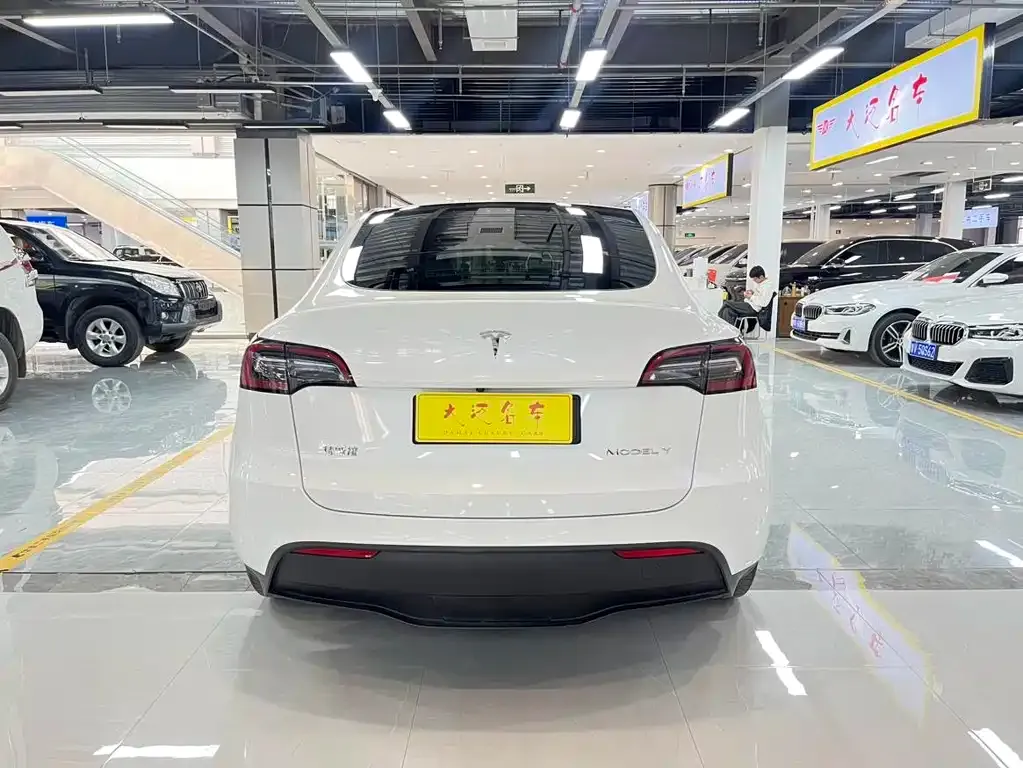 Tesla Model Y 2021 из CN, фото 9