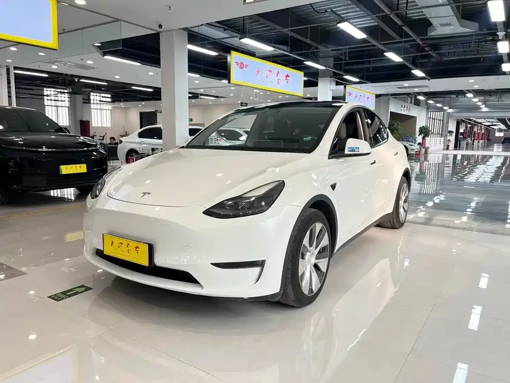 Tesla Model Y 2021 из CN, фото 8