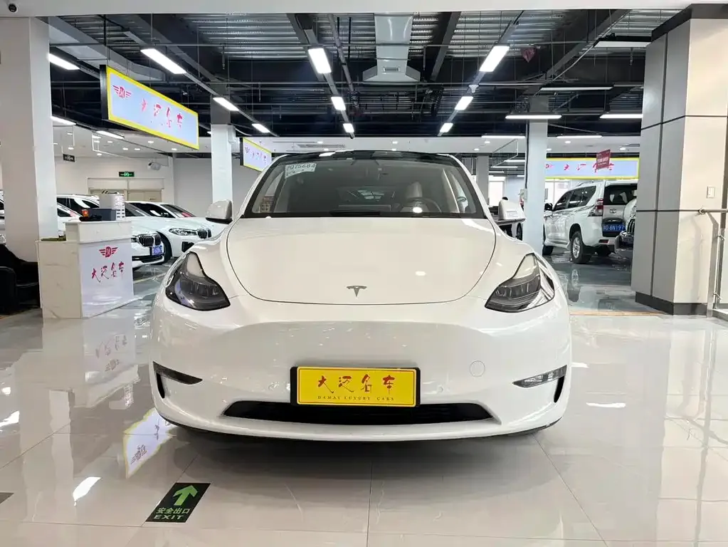 Tesla Model Y 2021 из CN, фото 5