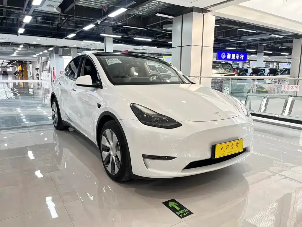 Tesla Model Y 2021 из CN, фото 7