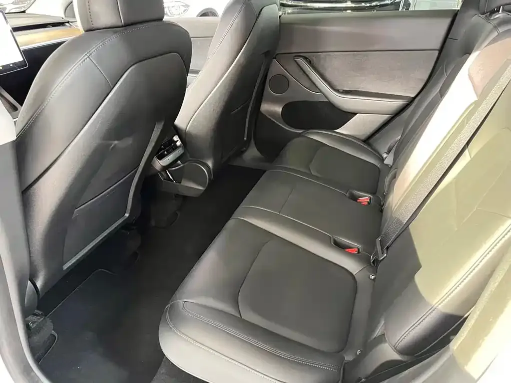Tesla Model Y 2021 из CN, фото 2