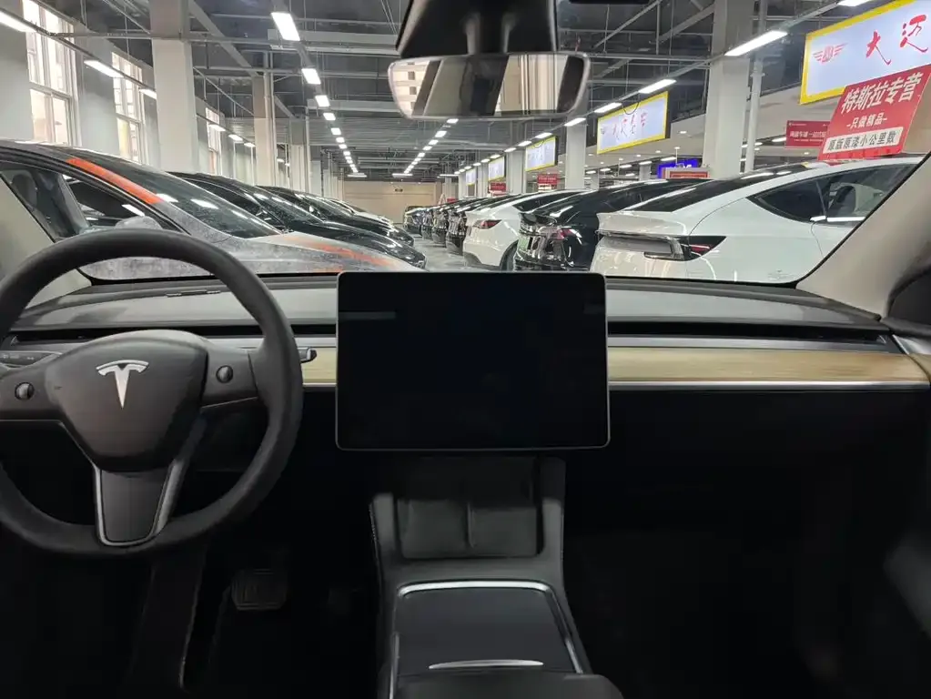 Tesla Model Y 2021 из CN, фото 3