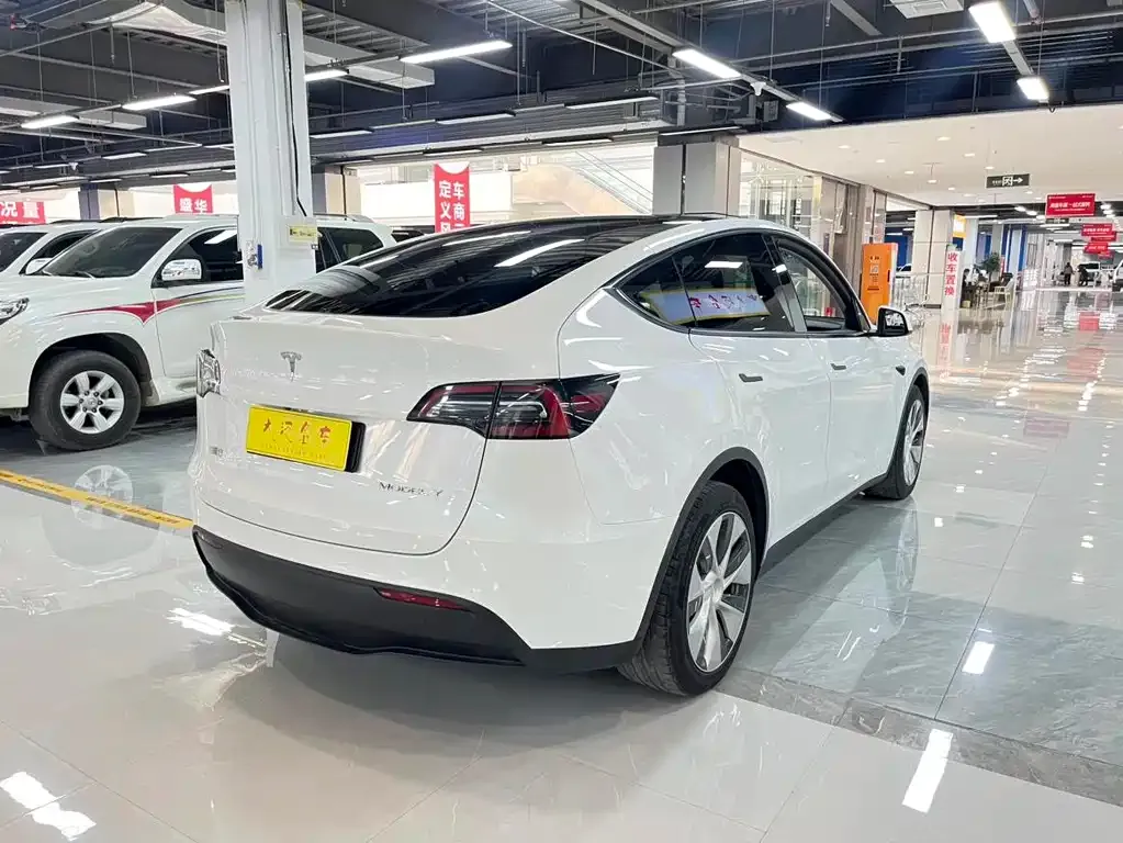 Tesla Model Y 2021 из CN, фото 4