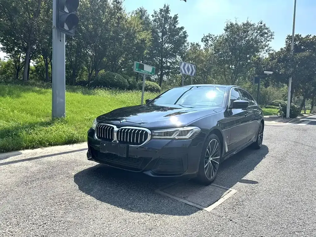 BMW 5 Series 2021 из CN, фото 1