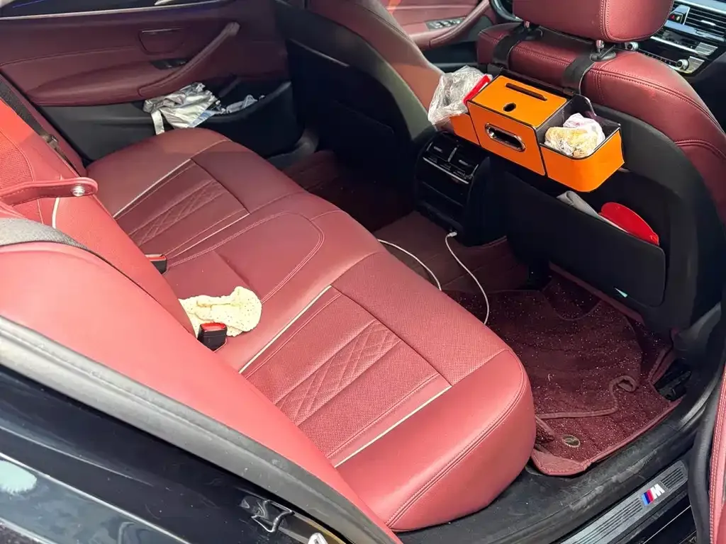 BMW 5 Series 2021 из CN, фото 9