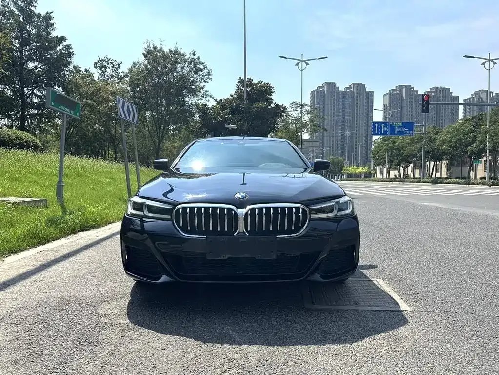 BMW 5 Series 2021 из CN, фото 8
