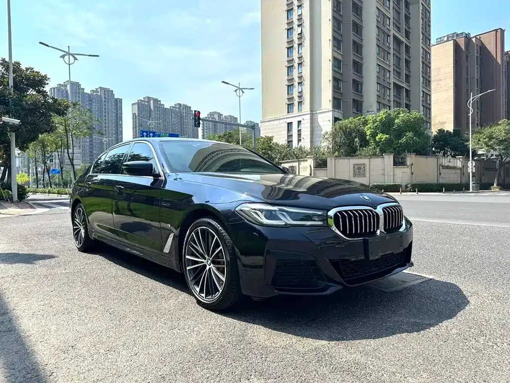 BMW 5 Series 2021 из CN, фото 10