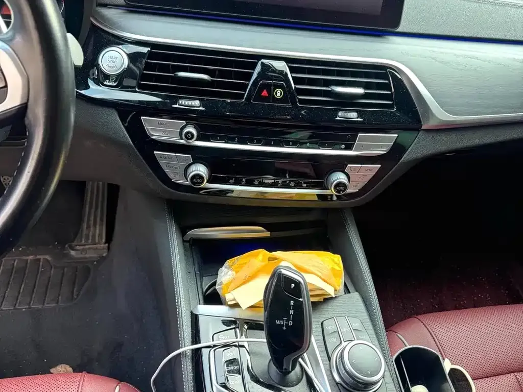 BMW 5 Series 2021 из CN, фото 6