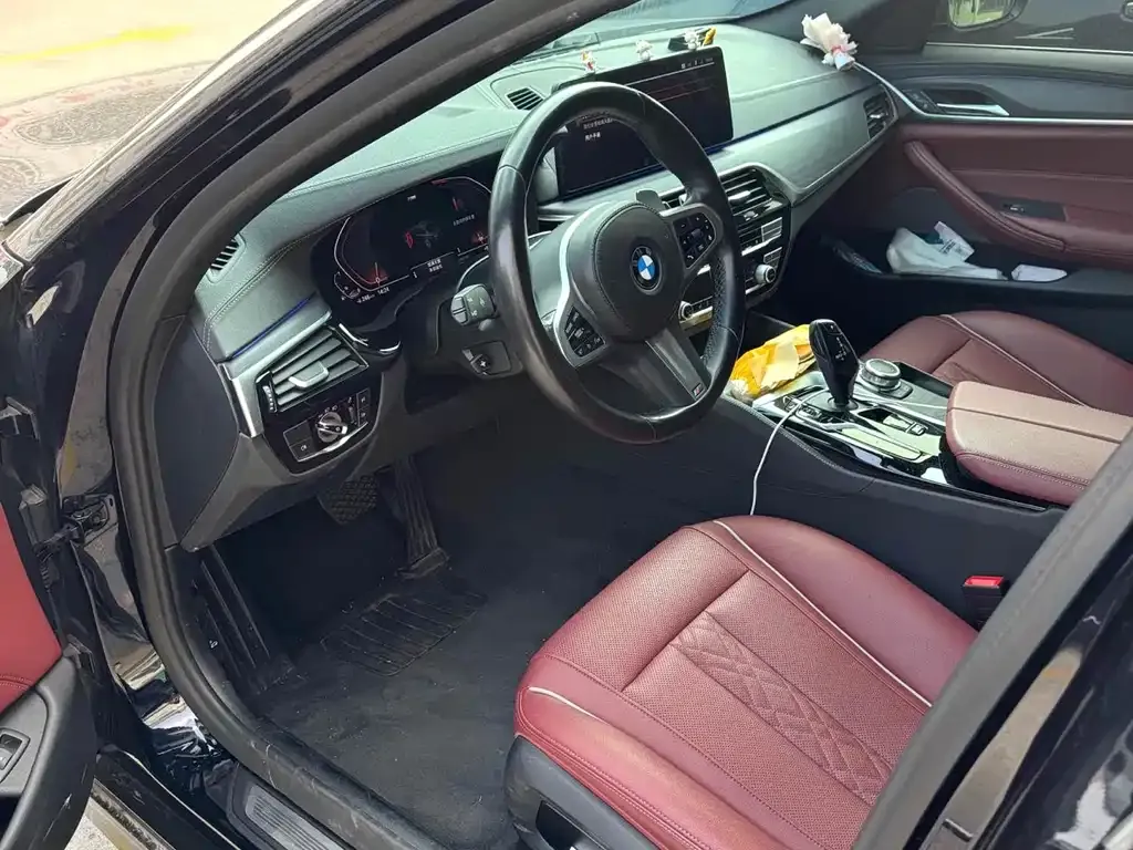 BMW 5 Series 2021 из CN, фото 4
