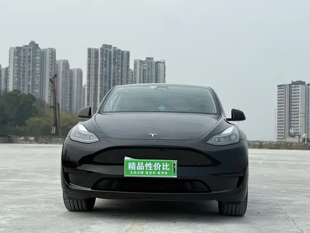 Tesla Model Y 2023 из CN, фото 2