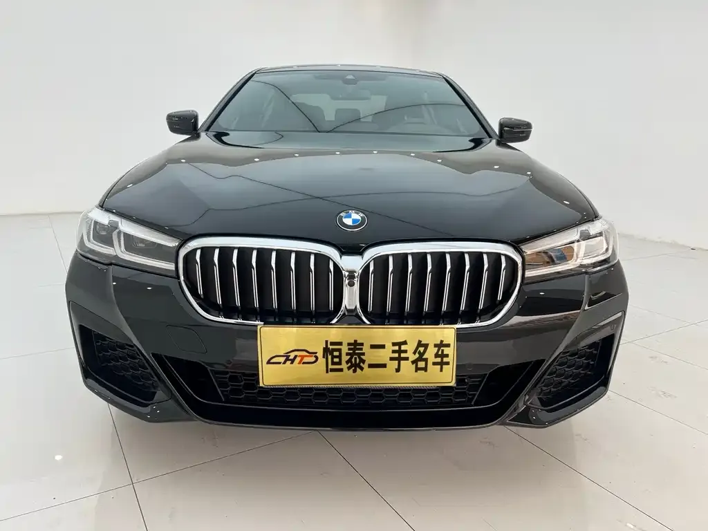 BMW 5 Series 2023 из CN, фото 2
