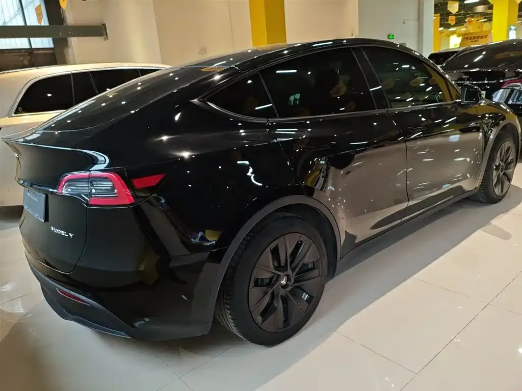 Tesla Model Y 2023 из CN, фото 2