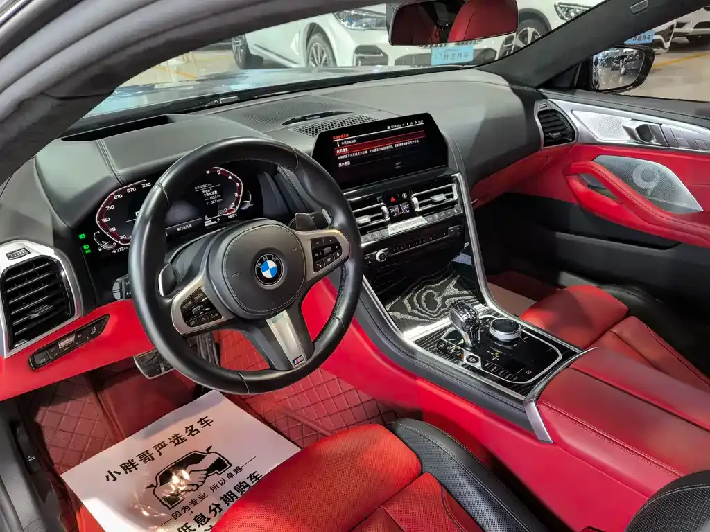 BMW 8 Series 2021 из CN, фото 9