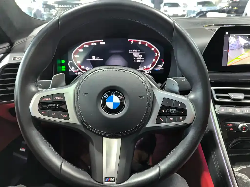 BMW 8 Series 2021 из CN, фото 10