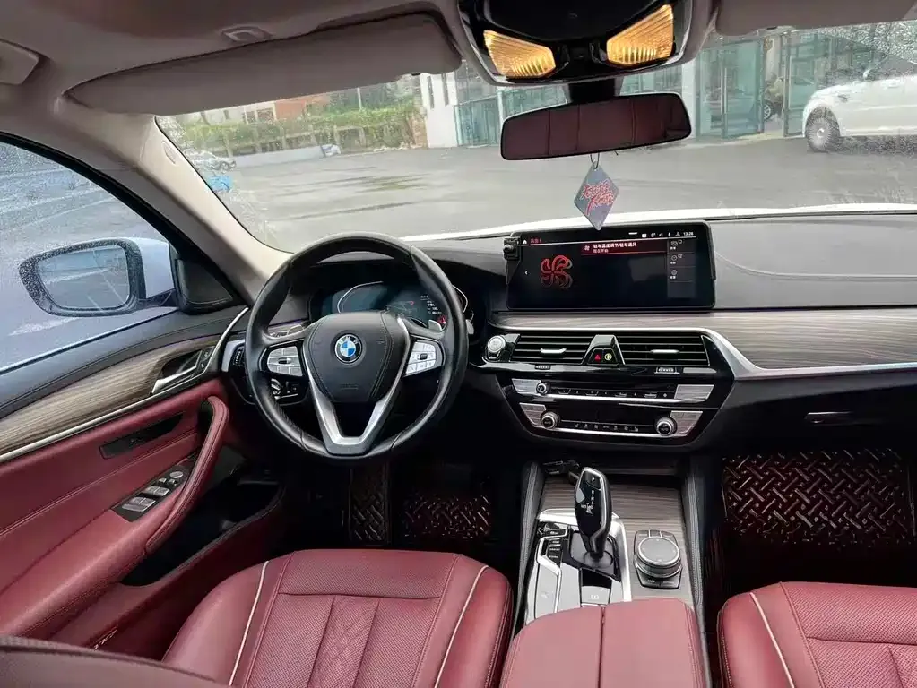 BMW 5 Series 2023 из CN, фото 6
