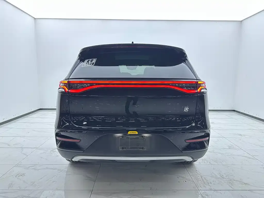BYD Tang New Energy 2021 из CN, фото 10