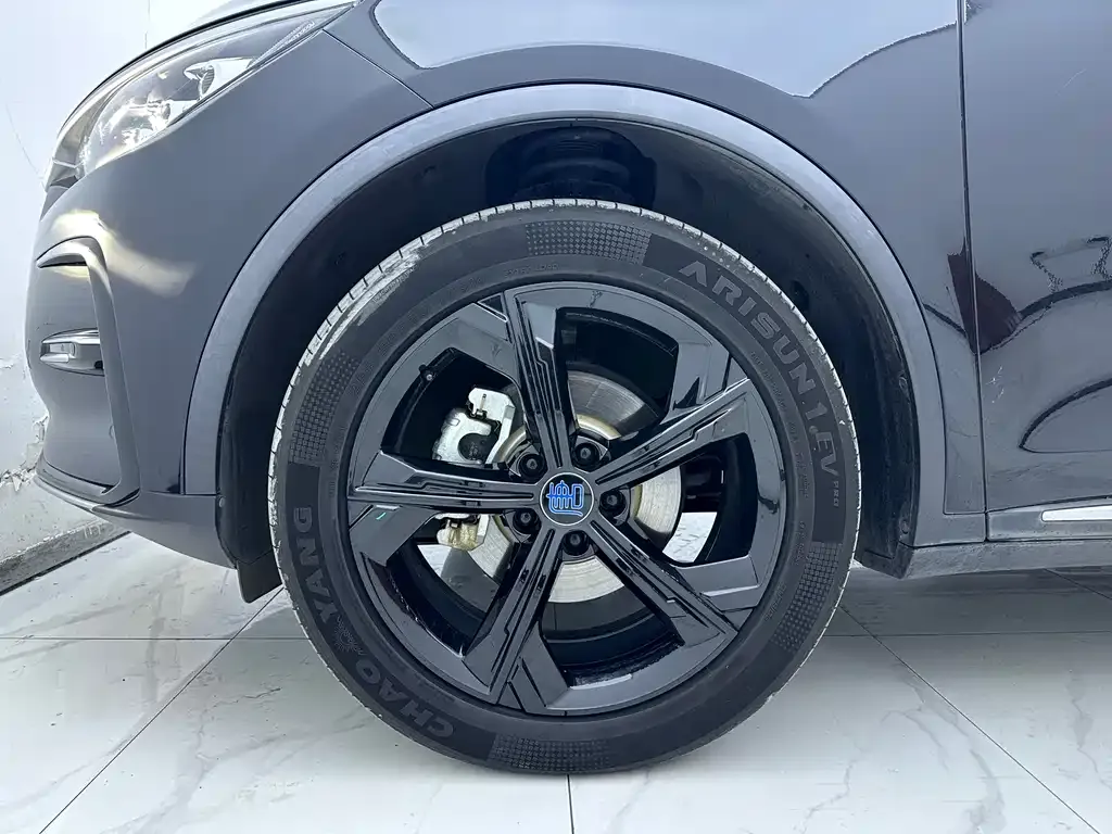 BYD Tang New Energy 2021 из CN, фото 2