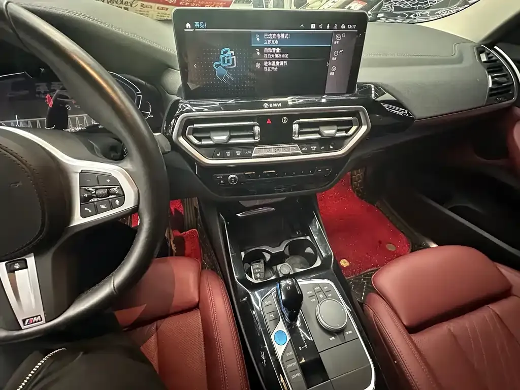 BMW iX3 2021 из CN, фото 4