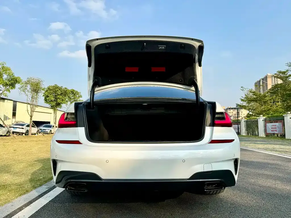 BMW 3 Series 2021 из CN, фото 6
