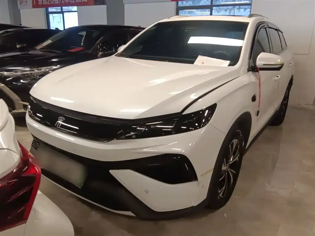BYD Pro New Energy 2025 из CN, фото 5