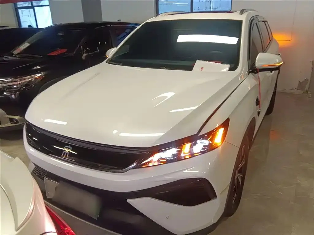 BYD Pro New Energy 2025 из CN, фото 7