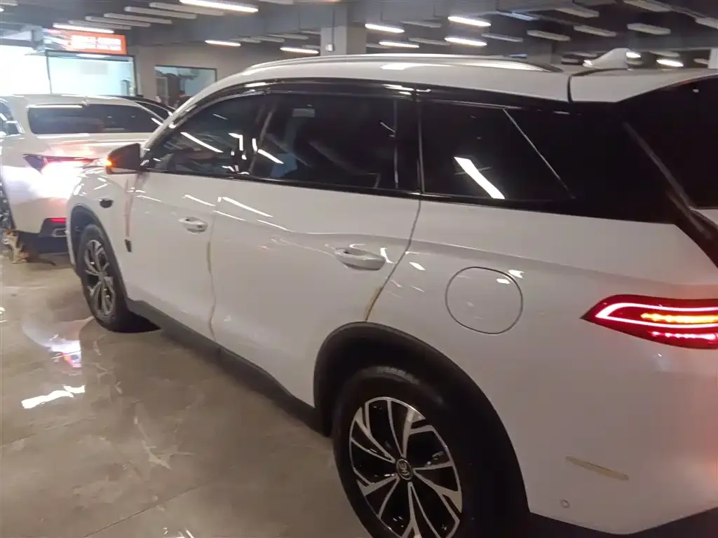 BYD Pro New Energy 2025 из CN, фото 10
