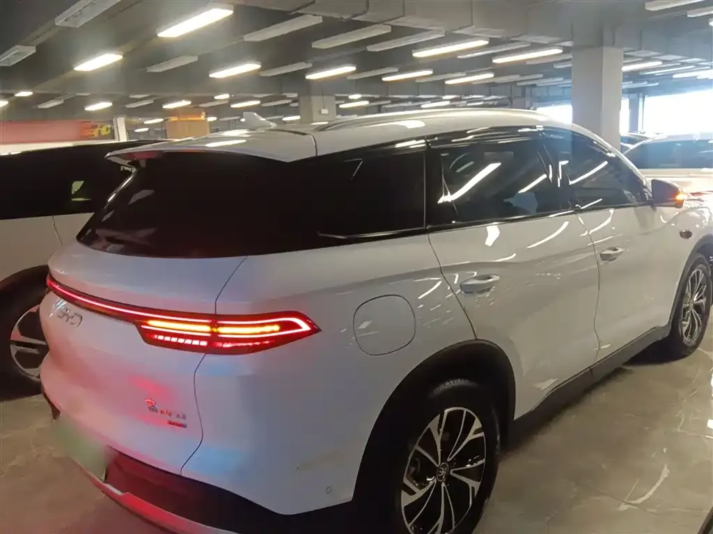 BYD Pro New Energy 2025 из CN, фото 4