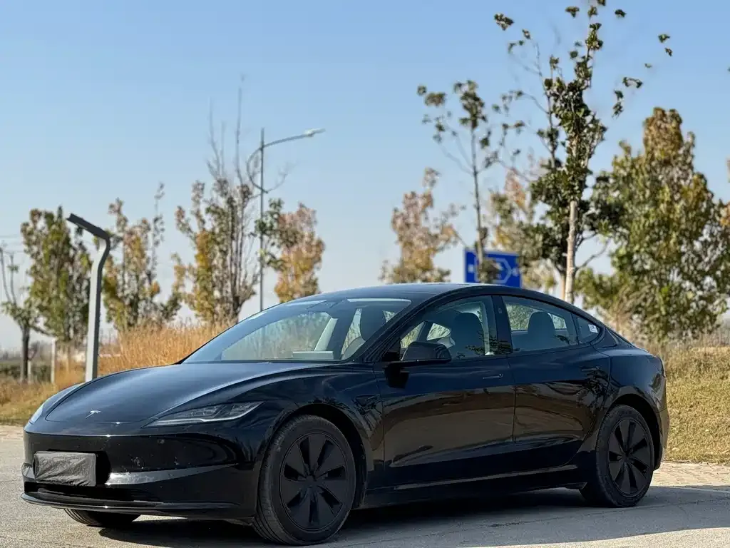 Tesla Model 3 2025 из CN, фото 3