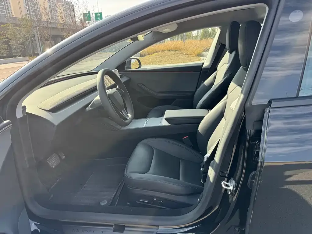 Tesla Model 3 2025 из CN, фото 4