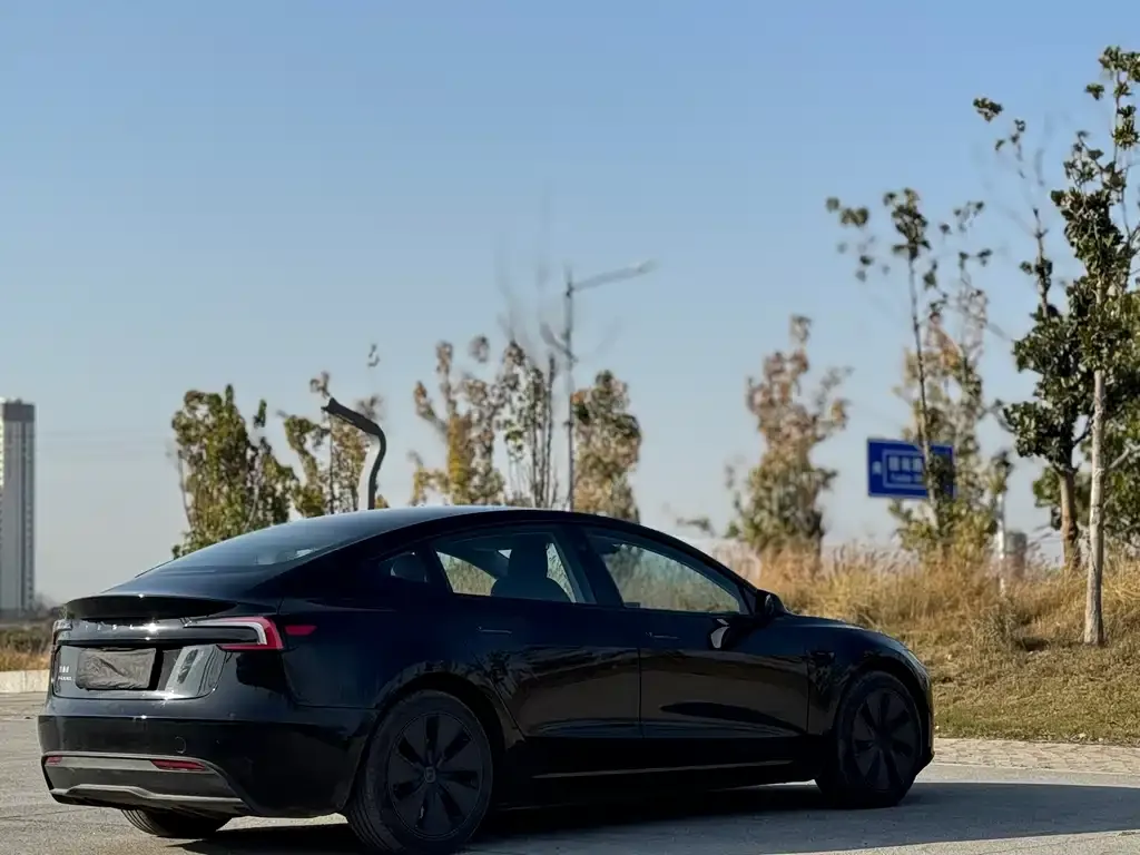 Tesla Model 3 2025 из CN, фото 9