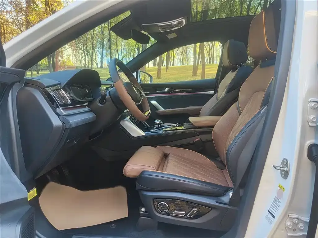 BYD Tang New Energy 2023 из CN, фото 8
