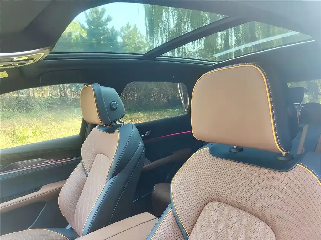 BYD Tang New Energy 2023 из CN, фото 9