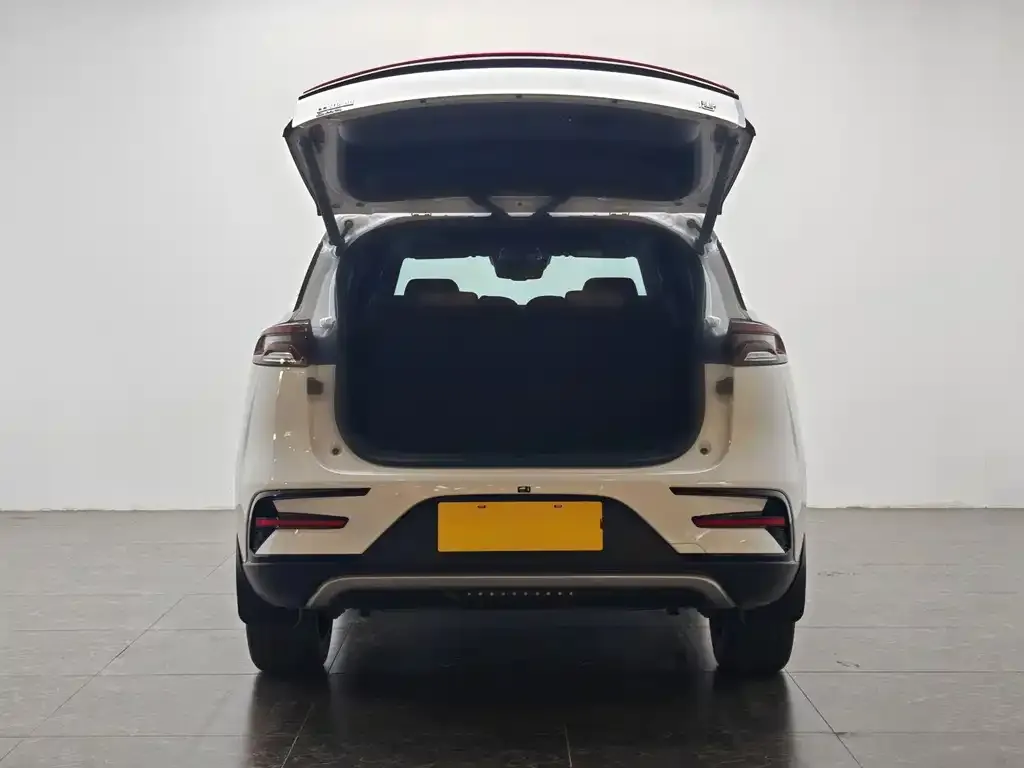 BYD Tang New Energy 2022 из CN, фото 6