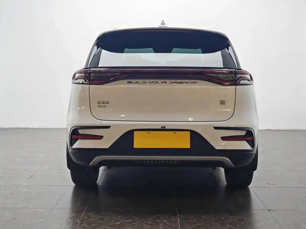 BYD Tang New Energy 2022 из CN, фото 10