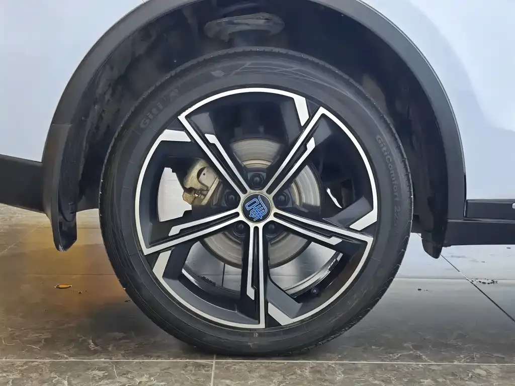 BYD Tang New Energy 2022 из CN, фото 9