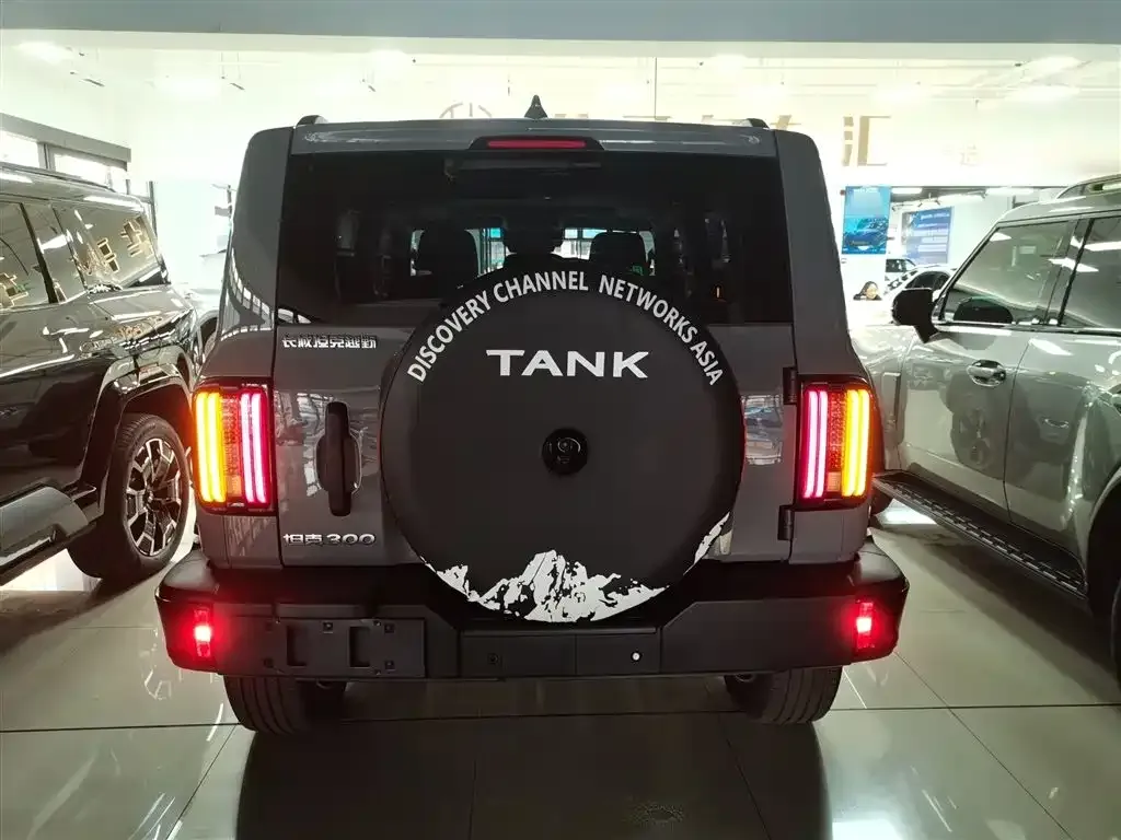 Tank 300 2025 из CN, фото 10