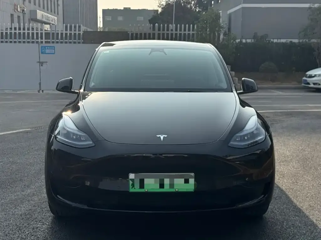 Tesla Model Y — фото 2