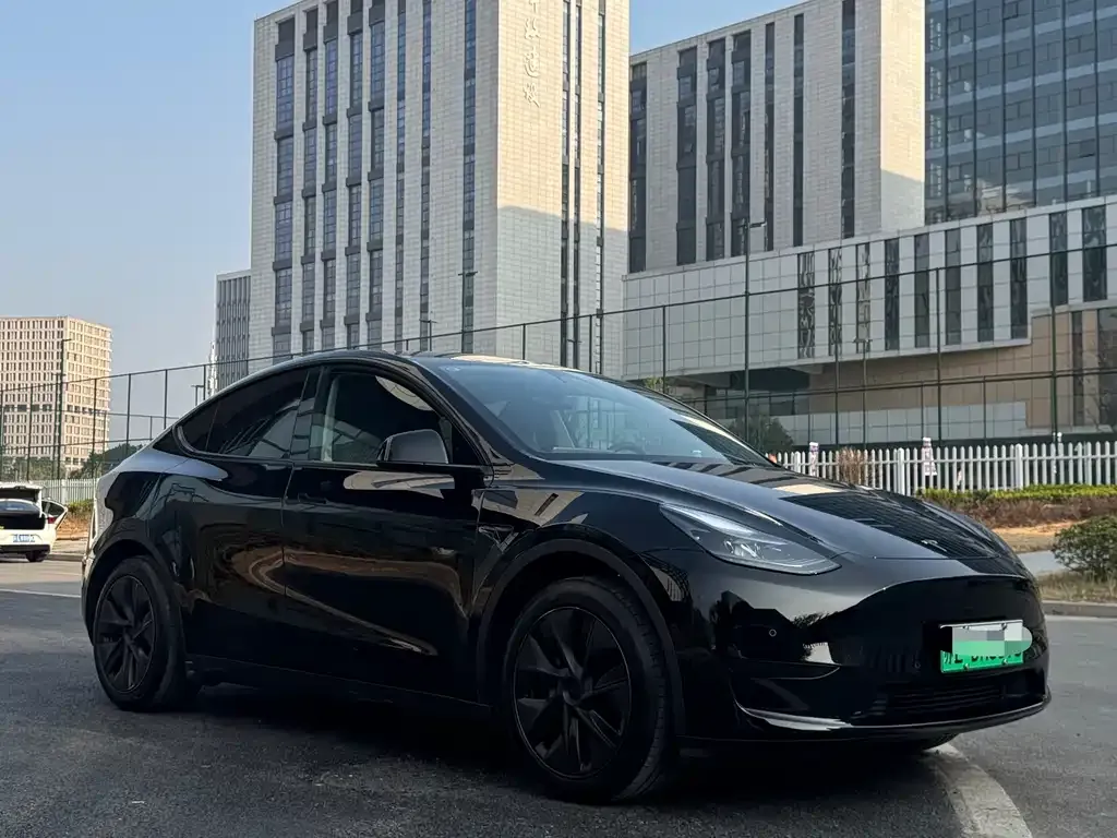 Tesla Model Y — фото 6