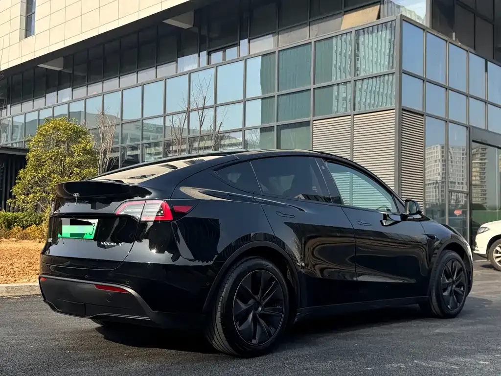 Tesla Model Y — фото 10