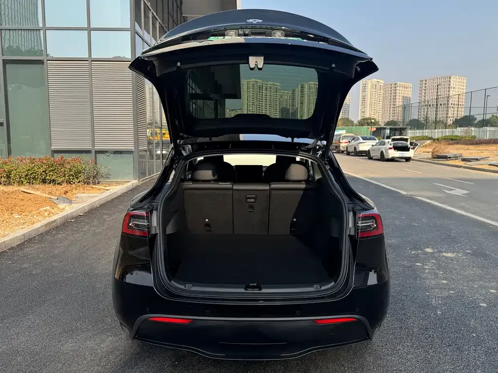 Tesla Model Y — фото 9