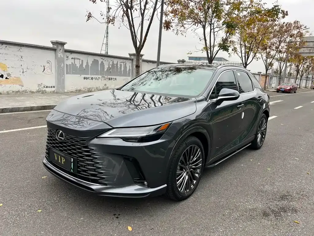 Lexus RX New Energy 2023 из CN, фото 1