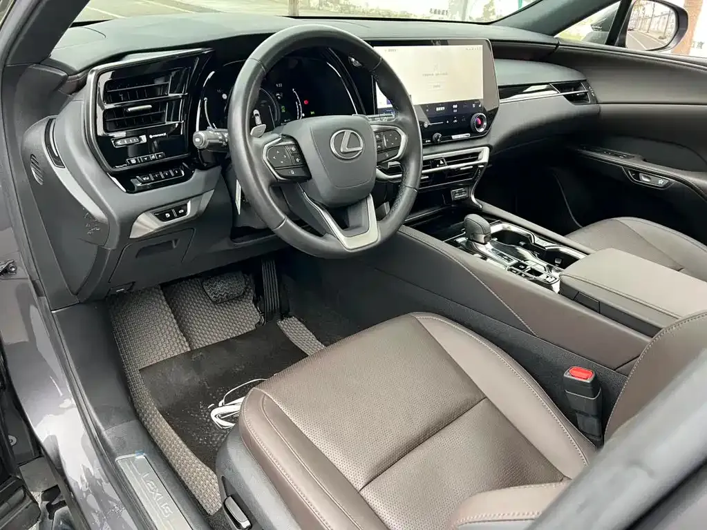 Lexus RX New Energy 2023 из CN, фото 4