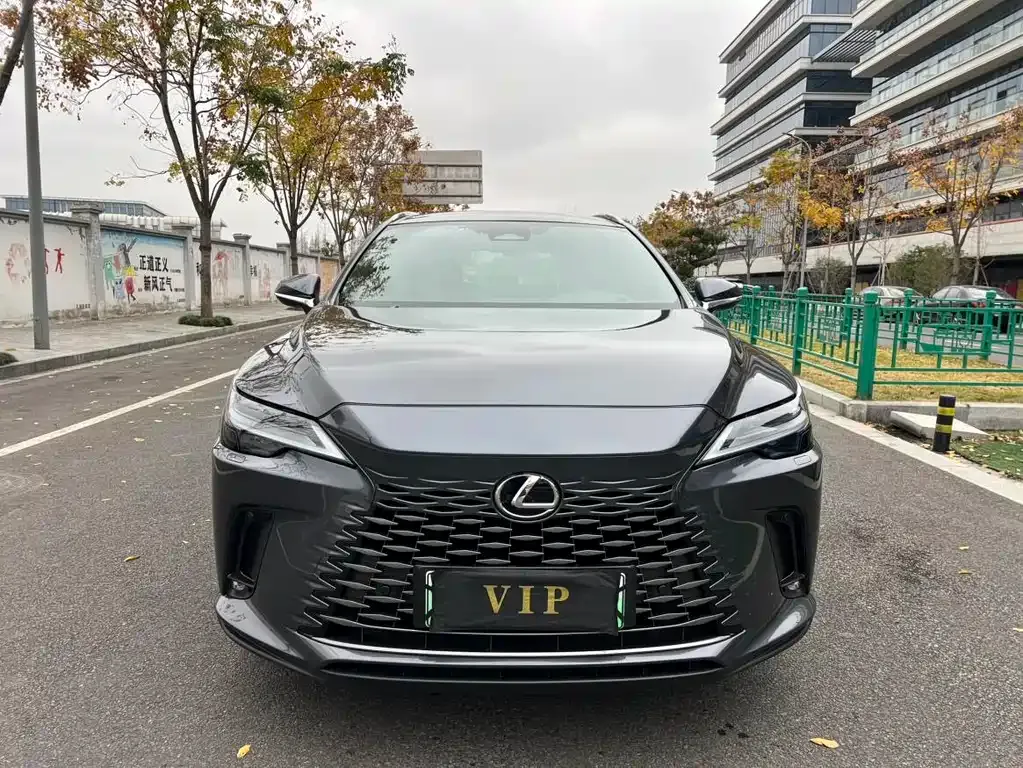 Lexus RX New Energy 2023 из CN, фото 7