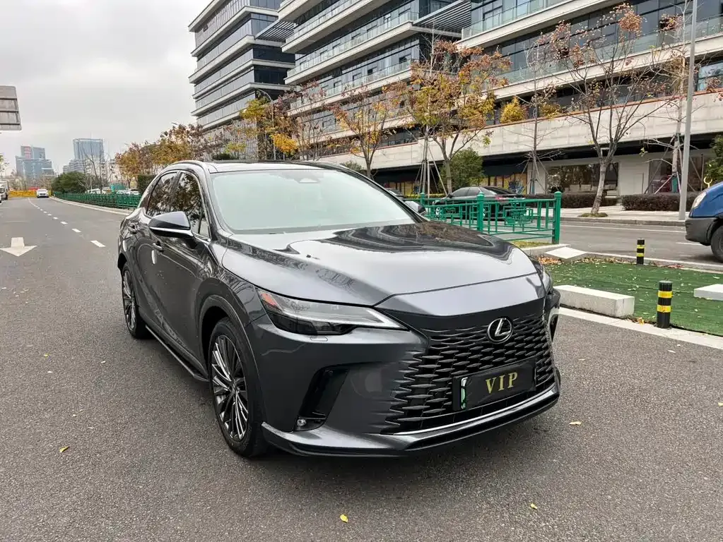 Lexus RX New Energy 2023 из CN, фото 10