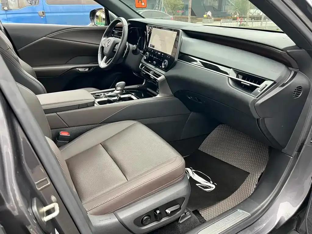 Lexus RX New Energy 2023 из CN, фото 8