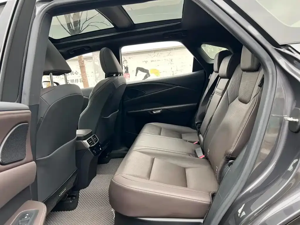 Lexus RX New Energy 2023 из CN, фото 5